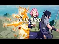 Lagu blue bird(arixed remix )- ikimono gakari [edit audio]