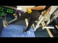 ASIAN BUTT WORKOUT 3