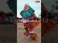 Download Lagu Zaouli dance, dianggap sebagai tarian tersulit didunia