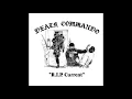 Download Lagu Death Commando ‎– R.I.P. Current [FULL ALBUM]