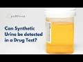 Can Synthetic Urine be detected in a Drug Test