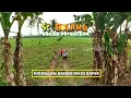 Lagu [FULL] Masakan Jember Bikin Terharu | THE BOLANG (20/10/25)