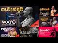 Download Lagu Hits Of Wayo Band❤️‍🔥 | Best Live Performance Collection  | MR GSS