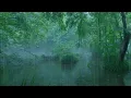 The beautiful little river is raining(347) , sleep, relax, meditate, ASMR, Real Shot
