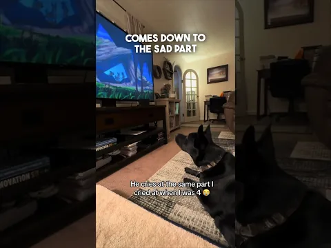 This dog cries watching sad movies 🥺