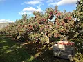 Friske Farm Market Charlevoix MI