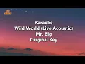 Download Lagu MIR BIG WILD WORLD LIVE ACOUSTIC KARAOKE VERSION