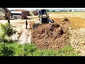 Download Lagu First Landfilling Huge Fields!Using Skills SHANTUI DH17C2 Bulldozer Pushing Soil, Hyundai Dump Truck