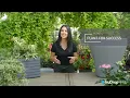 Crescent Garden TruDrop Self-Watering Planters Plant for Success