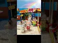 Download Lagu 🌟三つ星シェフの焼きそば🌟#sylvanianfamilies #shorts #happy #baby #funny