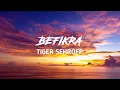 Befikra - Tiger Sehroff | Meet Bros and Aditi Singh Sharma | Hindi Party song