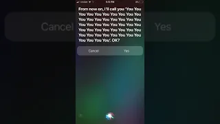 My Siri Has A Seizure 2020 