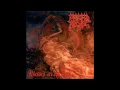 Morbid Angel - Blessed are the Sick/Leading The Rats