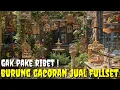 Lagu KING OF MASTERAN ! KOLEKSI TERBARU BURUNG GACOR FULL TEMBAKAN ATAS BAWAH
