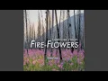 Download Lagu Fire-Flowers