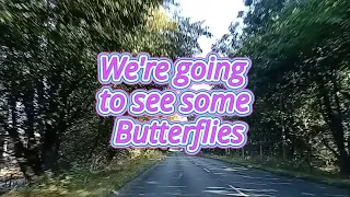 The Importance Of Ivy 