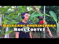 Download Lagu Dalagang Probinsyana - Roel Cortez | Jesrack Evangelista