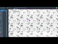 Annotation Instructions for Live Cell Images