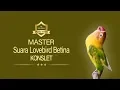 Download Lagu MASTER Lovebird Betina Konslet | AAHOBI MANIA