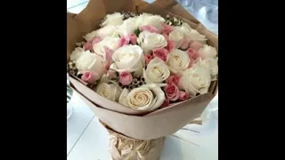 لواعرف فينك انتي وائل جسار           دندنها