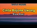 Download Lagu Cinta Bojone Uwong | Diva Hani [Lirik Lagu]