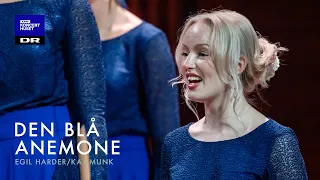 Den blå anemone // DR Pigekoret (LIVE)