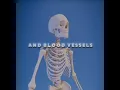 Download Lagu YO-HO-HO 💀 | Brook #zackdfilms #edits #anime #onepiece