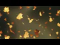 Video Bacground Daun Jatuh (Falling Autumn Leaves Background loop 2 Read Desc)