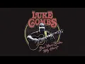 Luke Combs - Beer Never Broke My Heart (Audio)