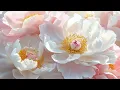 Download Lagu Спокойная музыка от тревоги и усталости — уютные мелодии для души и хорошего настроения #музыка