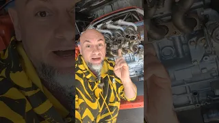 Пришли, выкупили, выгнали, снесли. Начинаю с нуля.