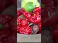 Download Lagu A glimpse of fruits \u0026 veggies used in #PuertoRico, grown at Finca Victoria, Vieques with #nikonz7ii