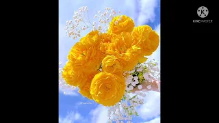 طريقتي في التوبة إلى الله عز و جل 