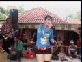 Download Lagu Pindang Urang - Suci - Lia Nada || MUSIK DANGDUT KOPLO