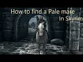 How to find and tame a Pale Mare in Skyrim