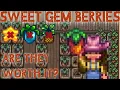 Sweet Gem Berries - Are They Worth It