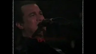 STEVEN SEAGAL TNT PURO NITRO