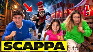 SHOCK: PAPÀ MIKE E AURORA TROVANO IL GATTO COL CAPPELLO IN CASA MA IMPROVVISAMENTE LI INSEGUE!