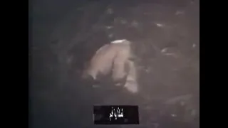 ترنيمة ادم اين انت الان كورال شباب الانبا رويس اوبريت الخليقه و الاباء سفر التكوين Via Torchbrow 