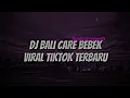 Download Lagu Dj Care Bebek Viral Tiktok Terbaru (Slow \u0026 Reverb)