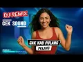 Download Lagu Gak Mau Pulangg - Cek Sound DJ Remix