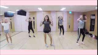 Download Remember - Apink (Dance Practice Mirrored) MP3