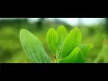 Download Lagu ST12 - Kebesaran Mu (Religi 2018) Cinema Video clip