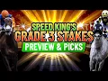 Grade 3 Delaware Oaks Stakes Analysis Picks 11th Delaware Racecourse 2026