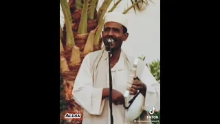 محمد النصري 