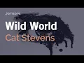 Download Lagu Folk Backing Track in C | 76 BPM | Wild World - Cat Stevens