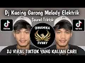 DJ KUCING GARONG MELODY ELEKTRIK SOUND VIRAL TIKTOK TERBARU 2025 YANG KALIAN CARI CARI !!