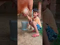Download Lagu choti choti gaiya #cow #animals #story gg