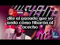 Dichavate - Ya Ice Dilan ❌️ Helabusador ❌️ Rey Tony (letra/lyrics)