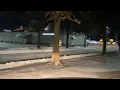 Night time road conditions Springfield Missouri